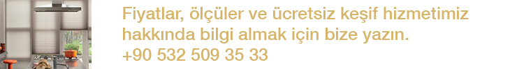 spot_img